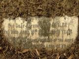image of grave number 65324